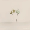 Artificial mistletoe, yellowish-white artificial fruit resin, green plant, artificial plant Application Scenario